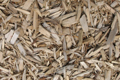 biomass boilers Duncote